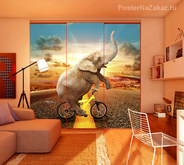Наклейка Слон на велосипеде