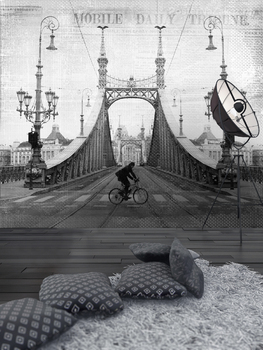 Фотообои Мост Свободы