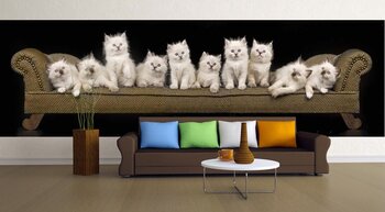 Фотообои Котята на диване