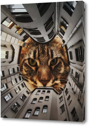    Питер. Двор-котик.