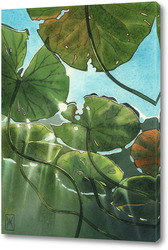   Картина Акварель "Кувшинки"