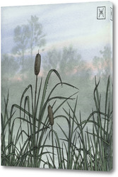    Акварель "Рогоз"