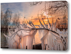    Сосульки на ветви дерева