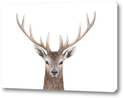   Постер Олень