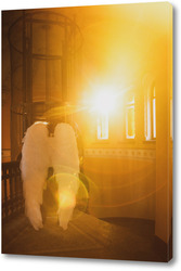   Постер В лучах солнца