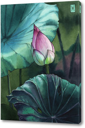   Картина Акварель "Лотос"