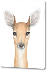   Постер Олененок, серия "Лесные животные"