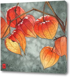    Акварель "Физалисы"