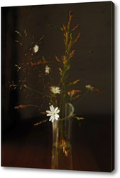    Летний вечер