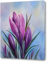   Постер Крокусы