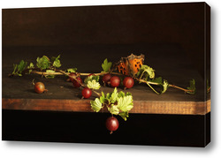   Постер Ветка крыжовника