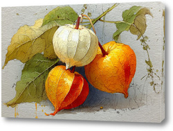   Постер Натюрморт с физалисом