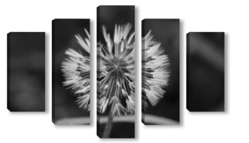Модульная картина одуванчик