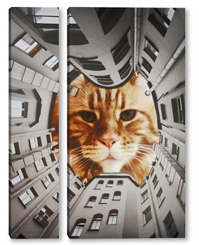 Модульная картина Двор-котик. Питер. 