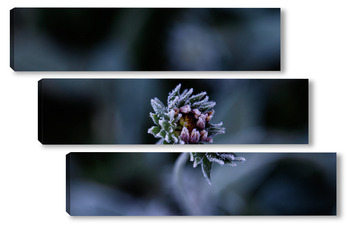 Модульная картина Иней на цветке 