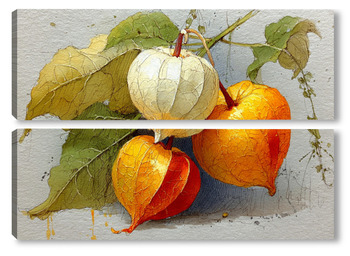 Модульная картина Натюрморт с физалисом