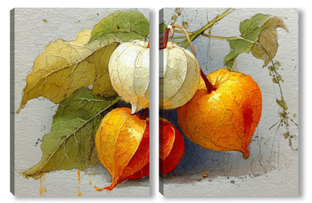 Модульная картина Натюрморт с физалисом