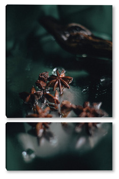 Модульная картина бадьян