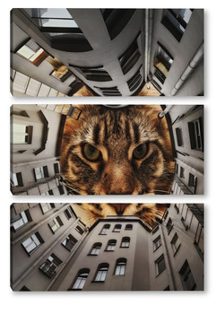 Модульная картина Питер. Двор-котик.