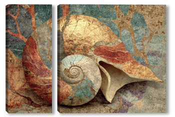 Модульная картина Аммонит