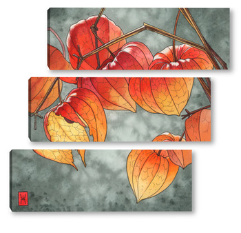 Модульная картина Акварель "Физалисы"